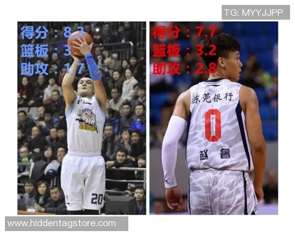 西安篮球队实力深度解析及与其他球队的全面对比分析