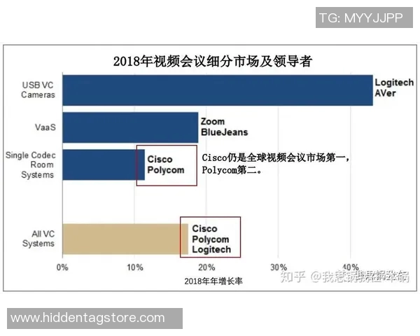 深圳排球队战术解析与发展策略的深度探讨与思考